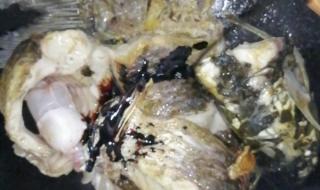 红烧草鱼怎么做好吃 红烧草鱼的做法